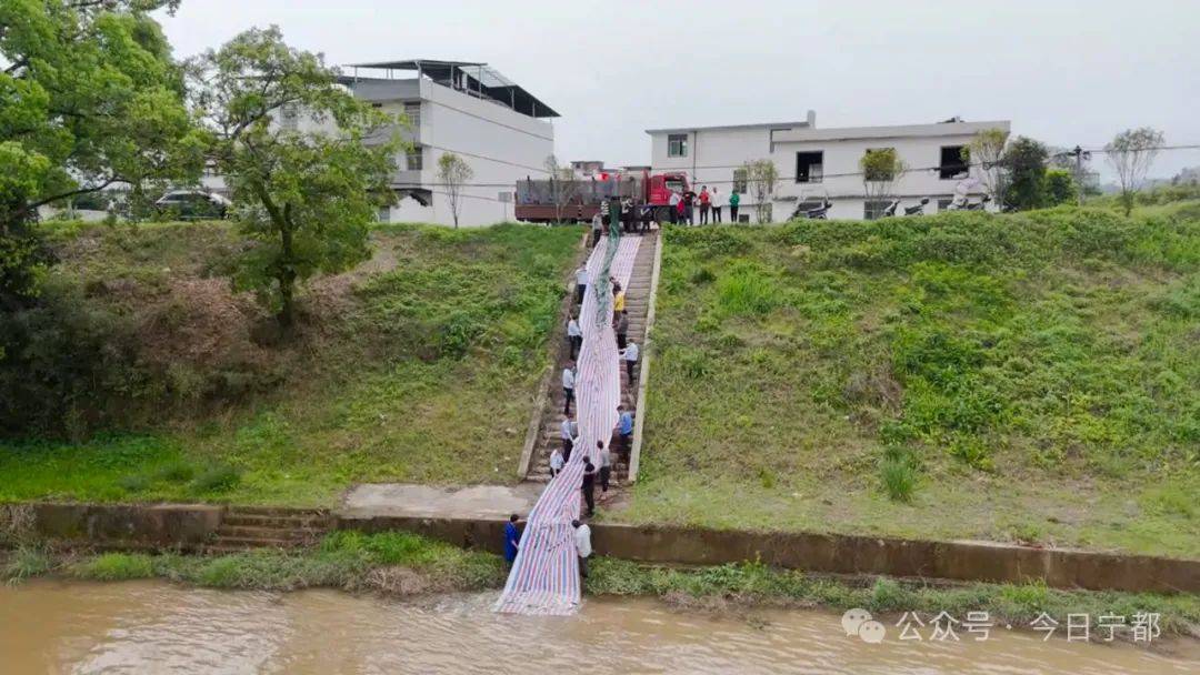 4万尾鱼苗入梅江_增殖_保护_宁都县