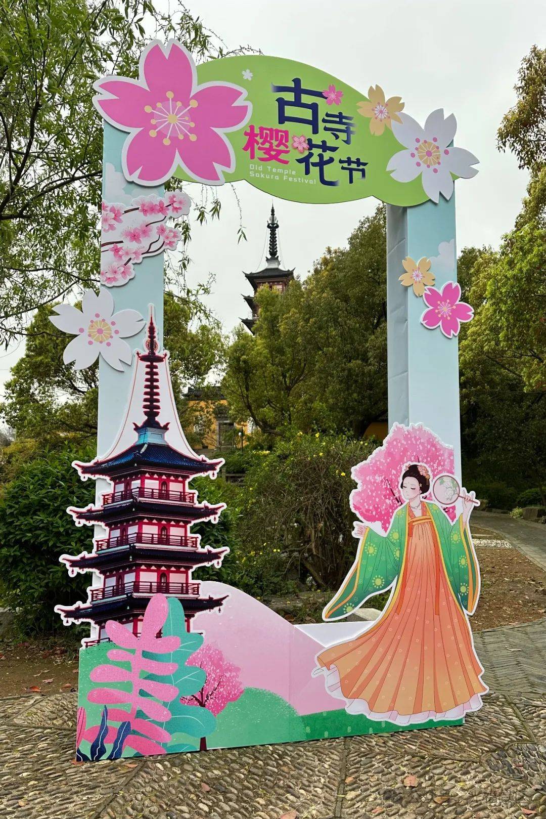 光福古寺樱花节来啦!