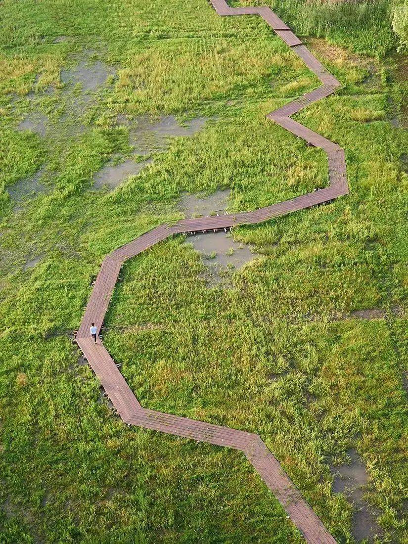 四月记得一定要去一趟湖州的湿地