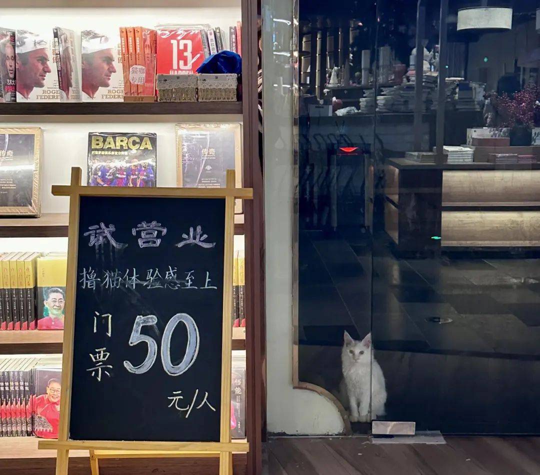 除了图书 咖啡 文创的常规布局,言几又让出了更多空间给经营性店铺