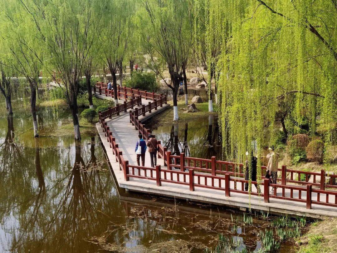 漫行潍坊植物园