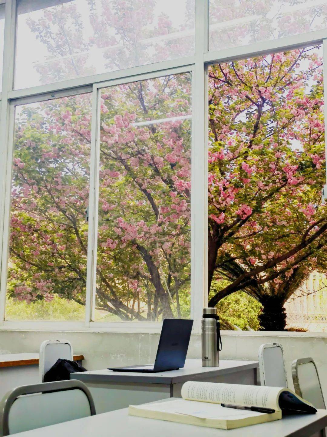 就等你啦来中南一骑走花路