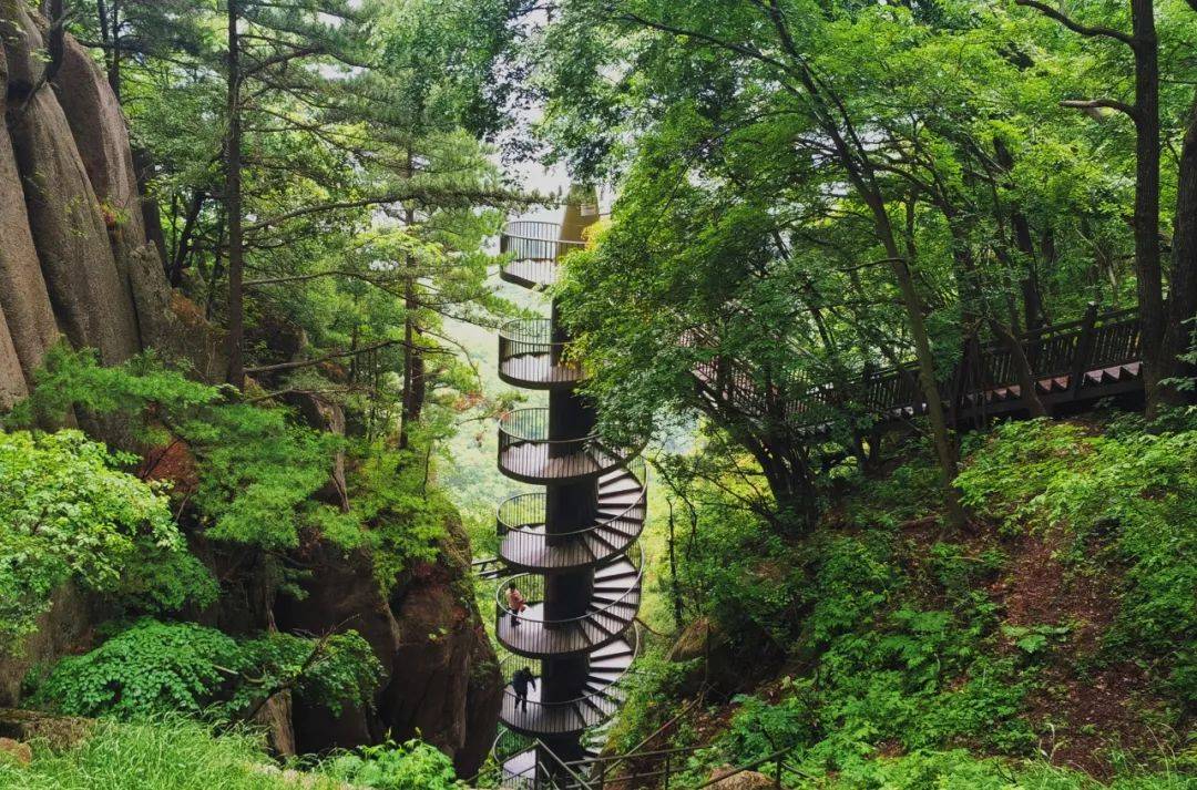 登上"鸡峰山"欣赏云海风景~_登山_踏青_宝鸡