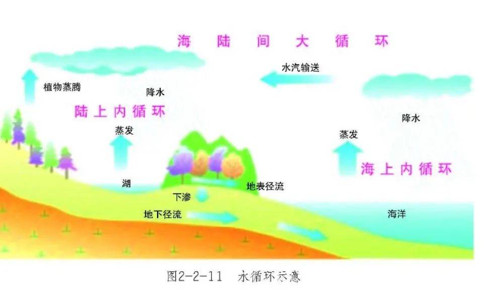 【地理探究】水循环基本过程画错了吗?附全球碳循环原理