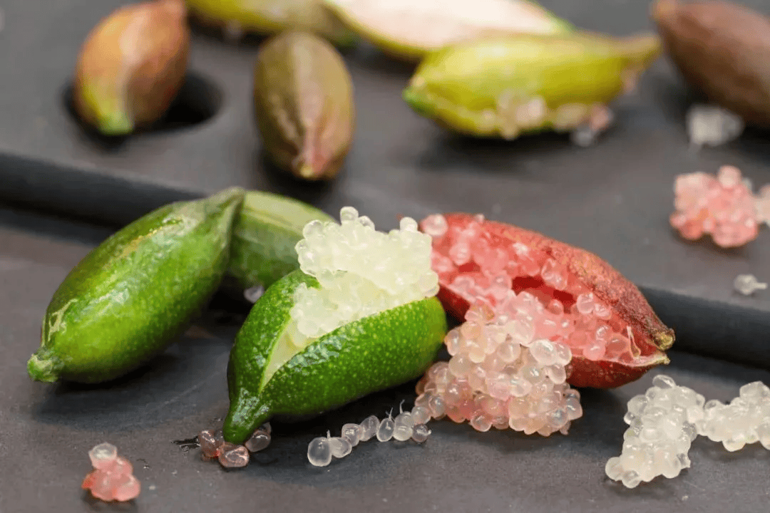 手指柠檬怎么吃好水果中的鱼子酱经济价值高其实自家就能种好