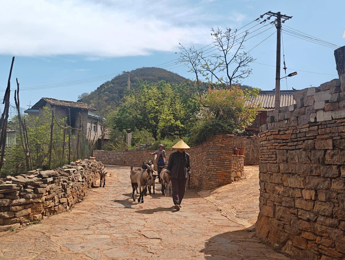 金牌旅游村|石林糯黑村:600年历史的"石头寨"