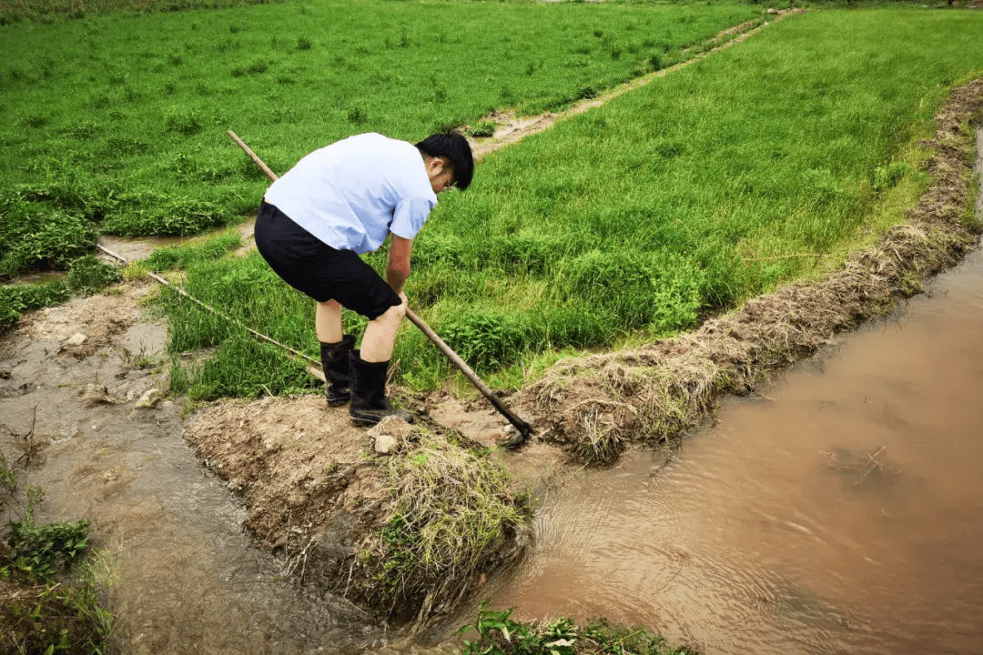 从4月3日开始,我县迎来连续多天的中到大雨天气,作为种粮大镇的太和镇