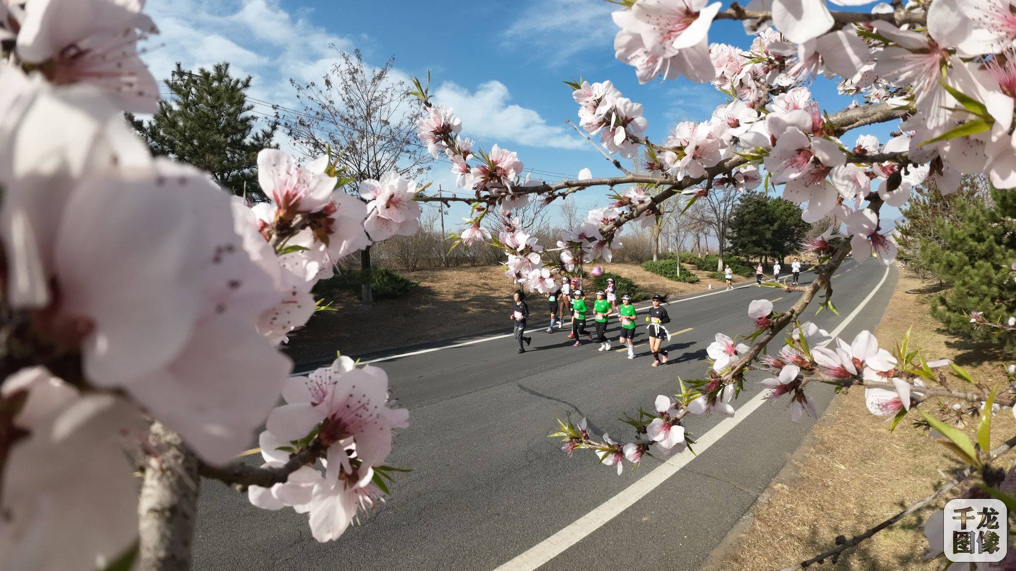 杏福香马2024北京延庆香营第二届女子半程马拉松举行