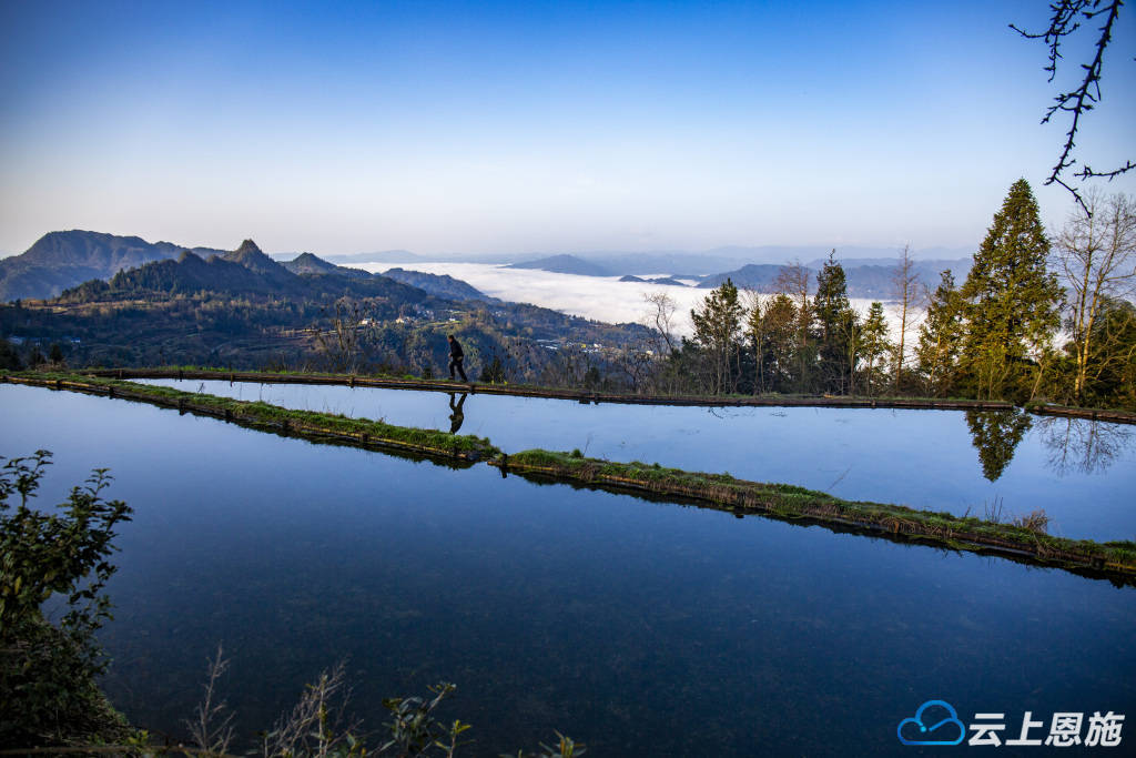 利川:凉风垭上田如镜