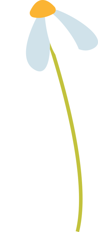 花香满城桂林开启香氛模式