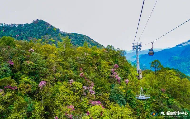 5万人次!南川景色如画,迎来假日游热潮!_游客_金佛山_登山