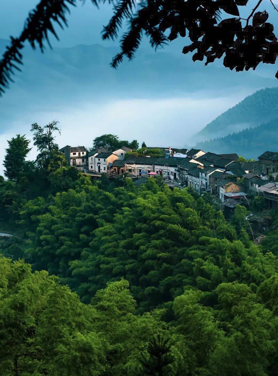 让人魂牵梦萦的徽州让人心动的春天