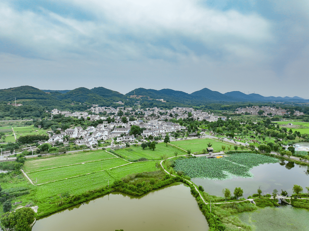春日的江宁,连央视都忍不住"夸夸夸"!