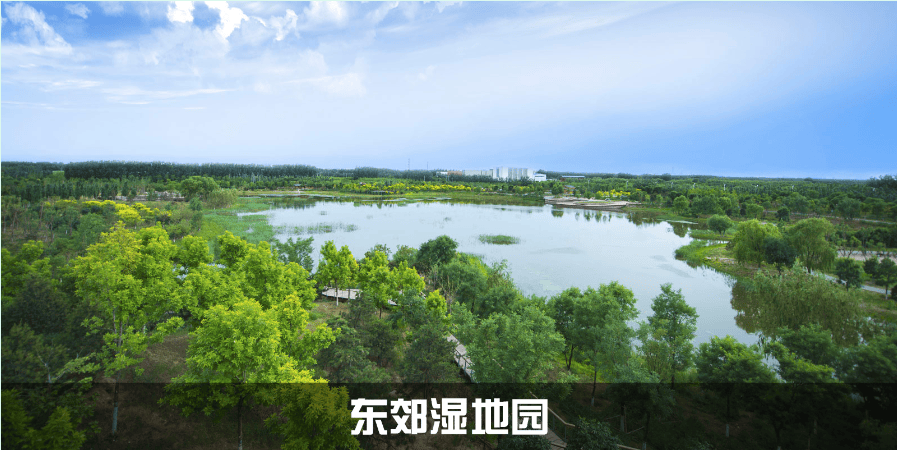 为配合温潮减河工程,北京通州东郊森林公园明起采取闭园措施