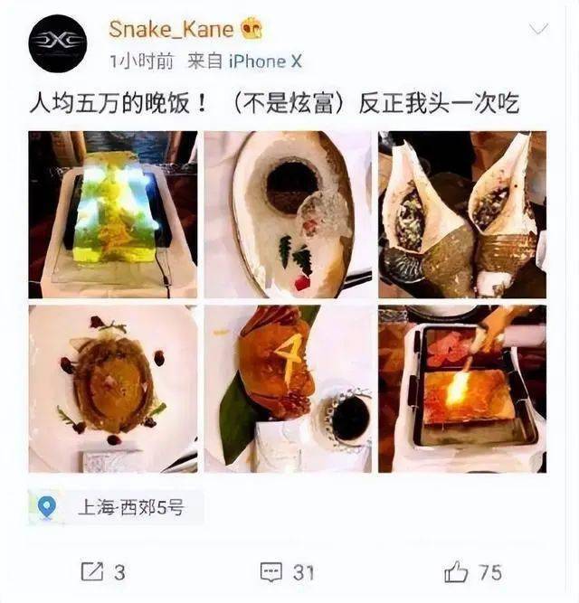 爷的奢侈生活,一顿饭90万人民币,父子联手败光百亿_蒋泉龙_蒋鑫_工作