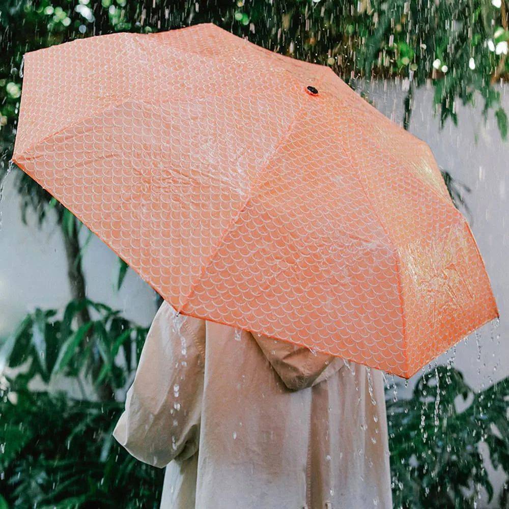 遮风挡雨图片唯美图图片