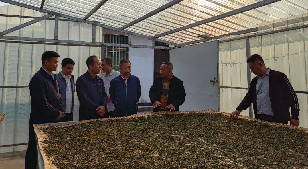 4月2日至3日,普洱市科协党组书记赵维海一行3人到景谷调研.