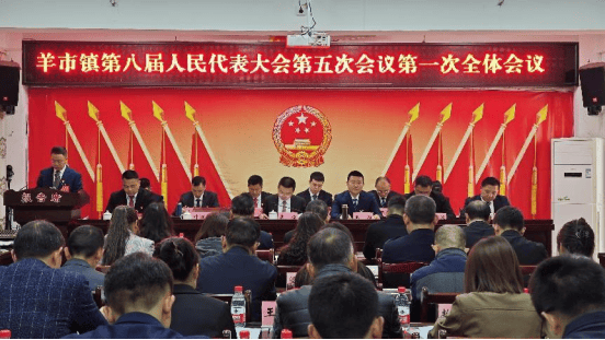 乡镇人大羊市镇第八届人民代表大会第五次会议胜利召开