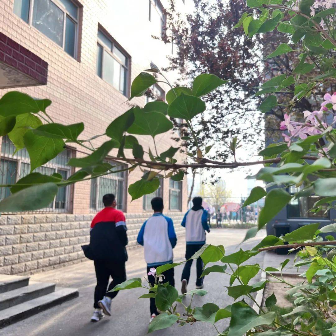 校园动态隆尧一中的春日来信请查收