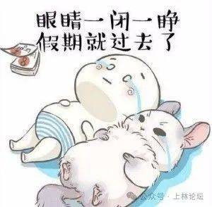 扭扭捏捏不想上班以前收假总会患上"假期综合症"清明假期已过