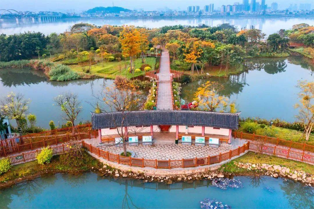 在奔跑中领略秀美潮州_马拉松_金山大桥_韩江