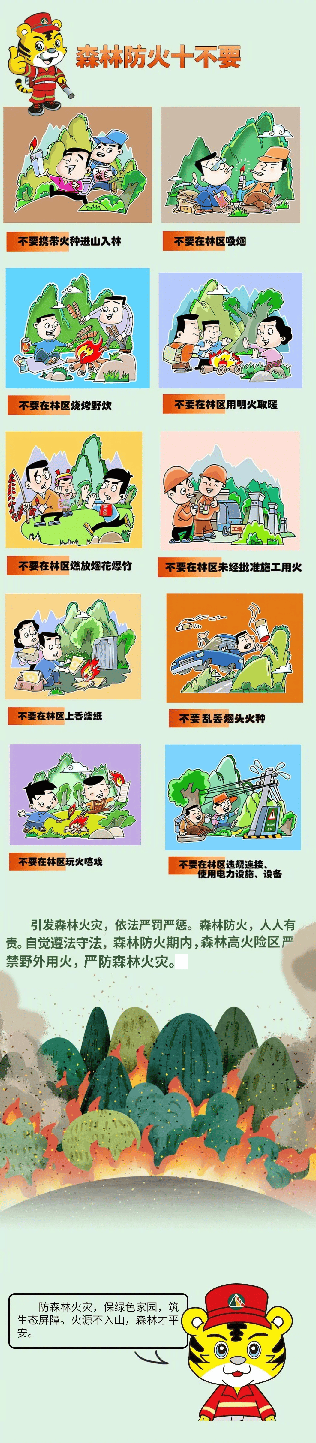 森林防火人人有责一张长图科普森林防火安全知识