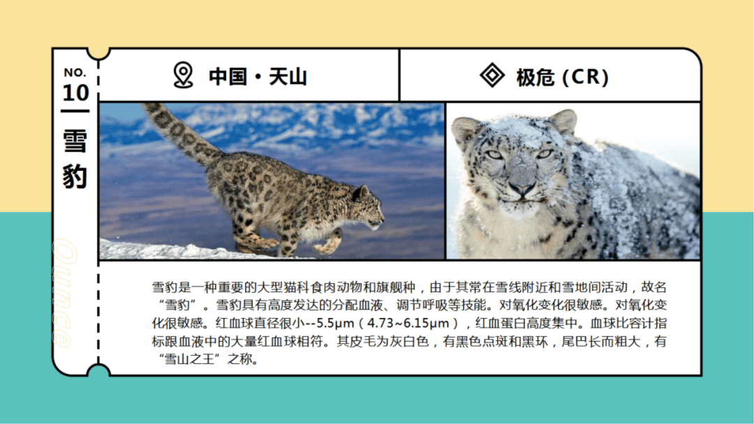 列入《国家重点保护野生动物名录》的则有257种,列入《中国濒危动物