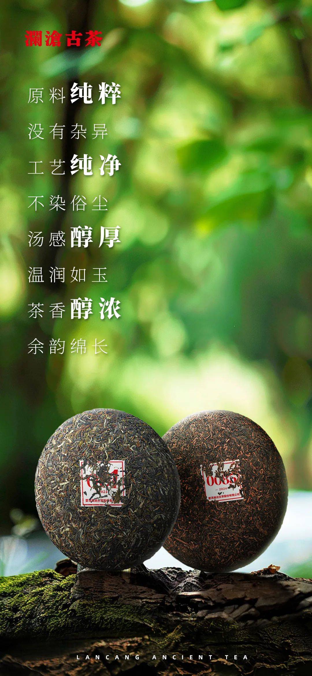 丰富 耐人寻味纯正纯粹 没有杂异原料只选景迈山明前古树春茶原料纯粹