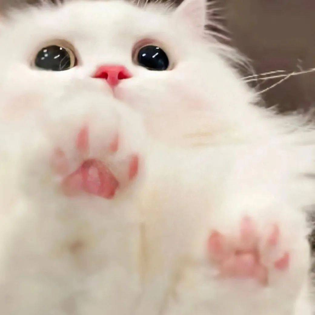 头像44张情侣头像已到