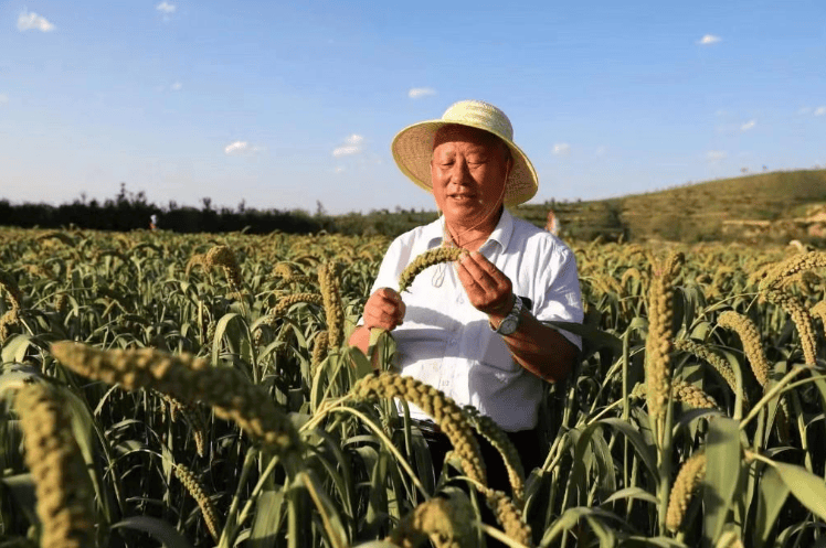 43年来,姜良彪先后任村委委员,村主任,党支部书记等职务.