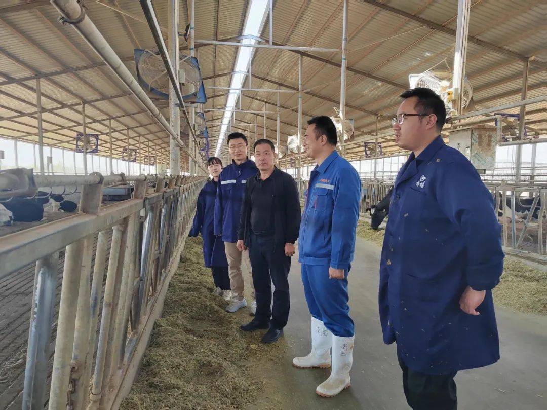 我市引入300多名专家助力县域经济高质量发展