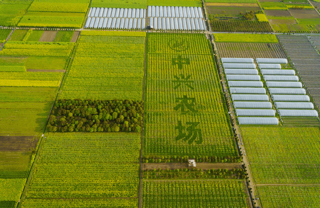 围绕粮食的"种植,加工,流通"三大模块,通过稻米追溯厅,粮食银行厅