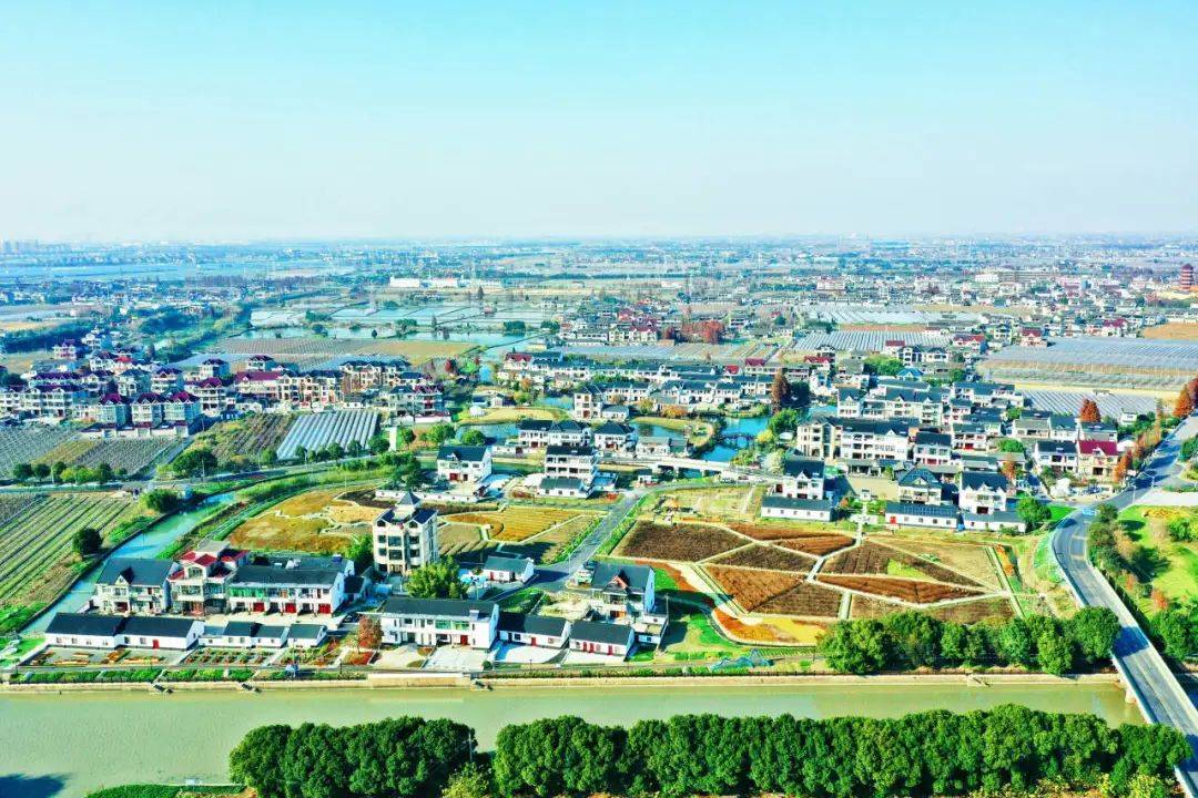 浙江七大行动助推数字乡村发展水平持续领跑