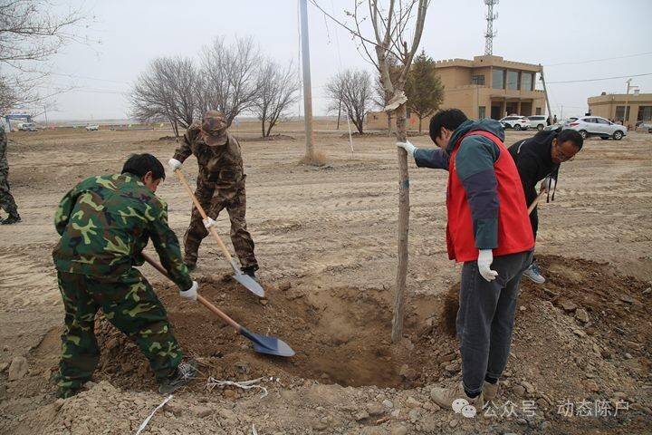 美丽山丹青春行动丨陈户镇团委植树添新绿保护母亲河义务植树活动