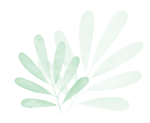 绘本故事如同一粒小种子洒在心田开出绚烂的花朵让我们跟随老师的声音