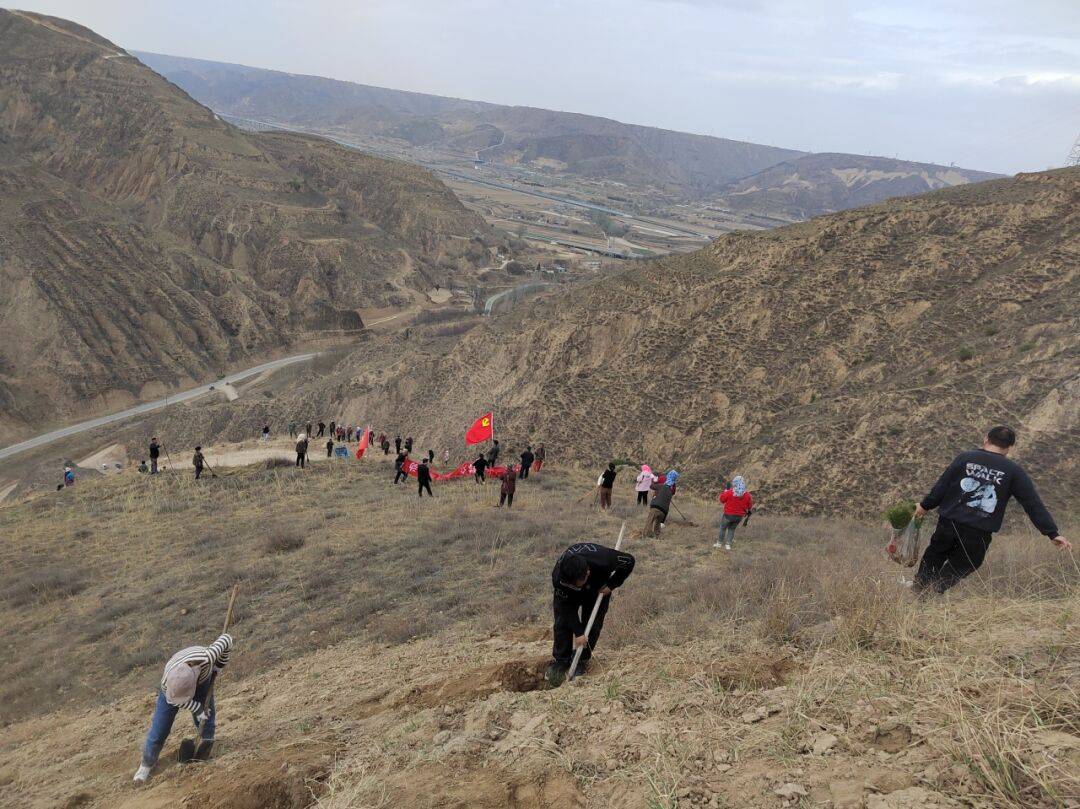 木钵镇各村积极开展义务植树活动