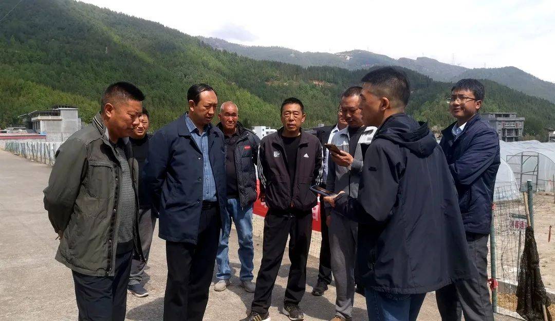 沙马木机一行到乡镇调研指导烟叶育苗工作