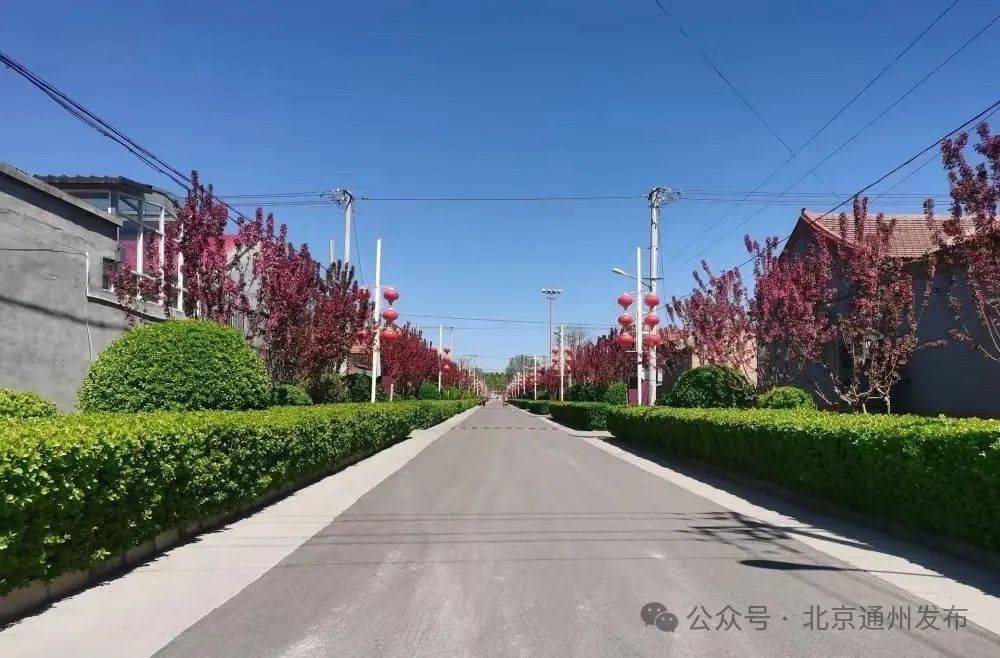 解决群众急难愁盼,通州街道乡镇基层治理有妙招儿——_社区_网格_服务