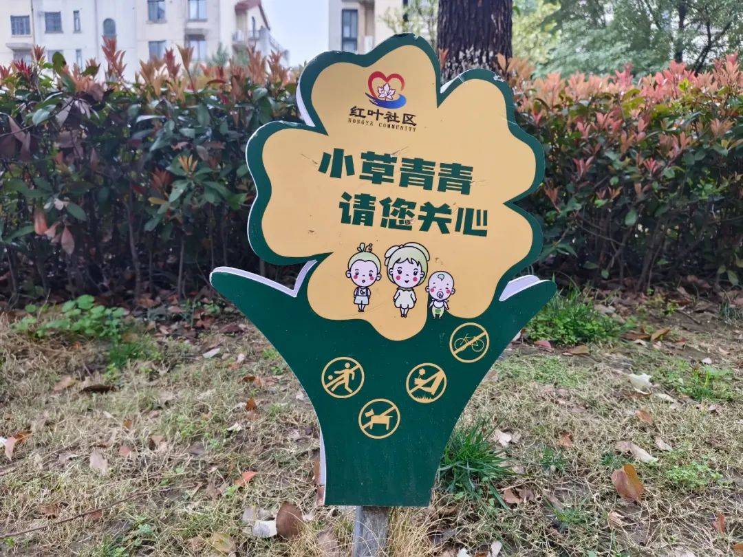 红叶社区在小区醒目位置,投放家庭教育宣传海报,花草牌,树牌等,以"
