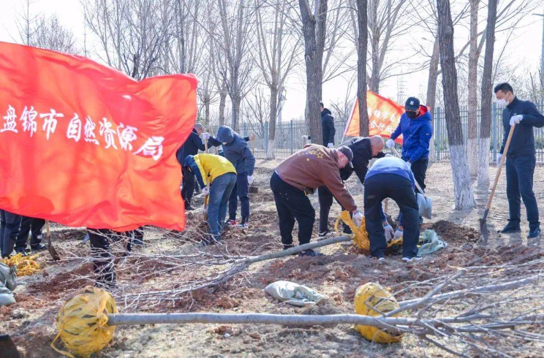 【综合要闻】市自然资源局开展义务植树活动