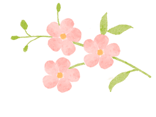 公园花信风人间四月天海棠花中仙