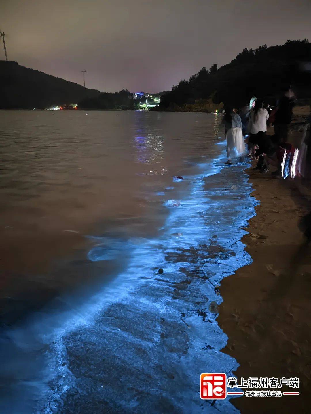 平潭全海域"蓝眼泪"大爆发!朋友圈都炸锅了,真的太惊艳!