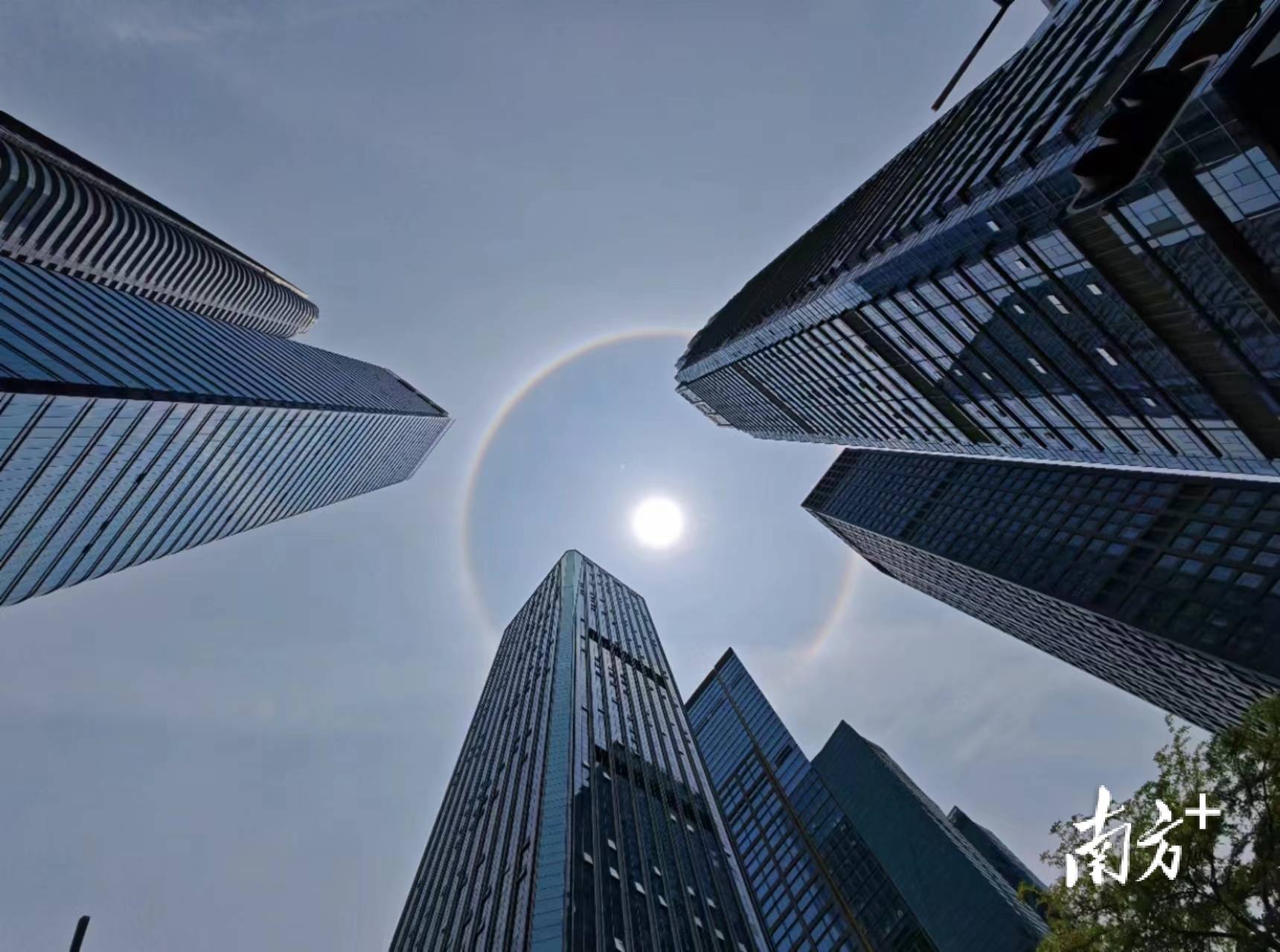 广东多地天空现日晕,你拍到了吗?|南方 拍客