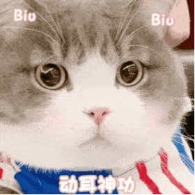 我在拉屎丨第965期喵表情包