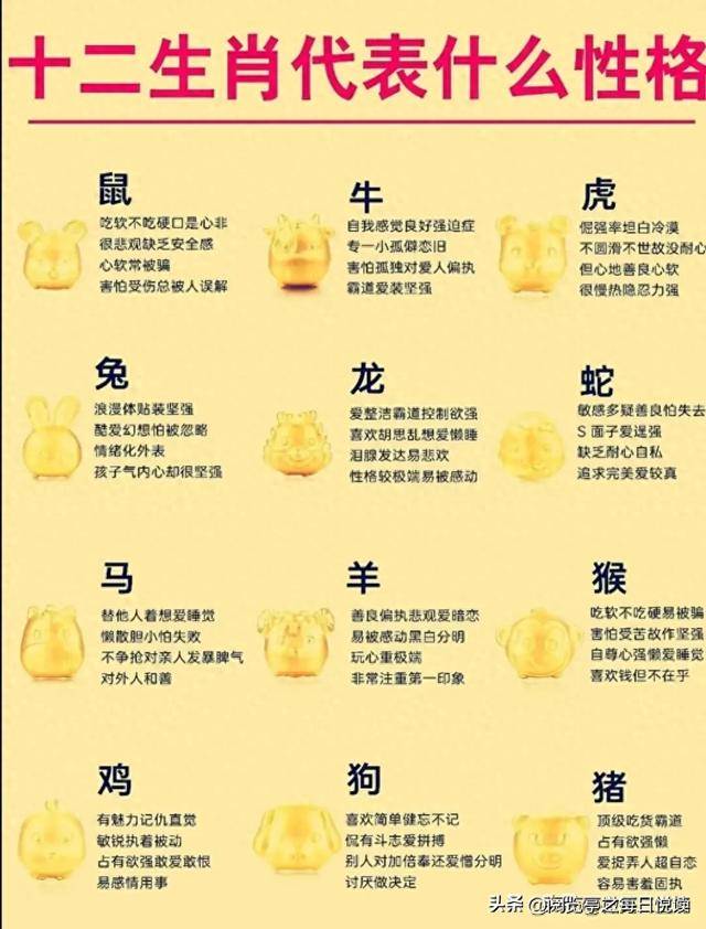 十二生肖号码今年图片