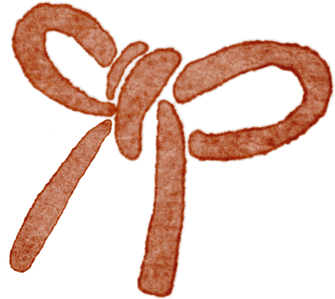 活动预告保研经验分享大会即将开始