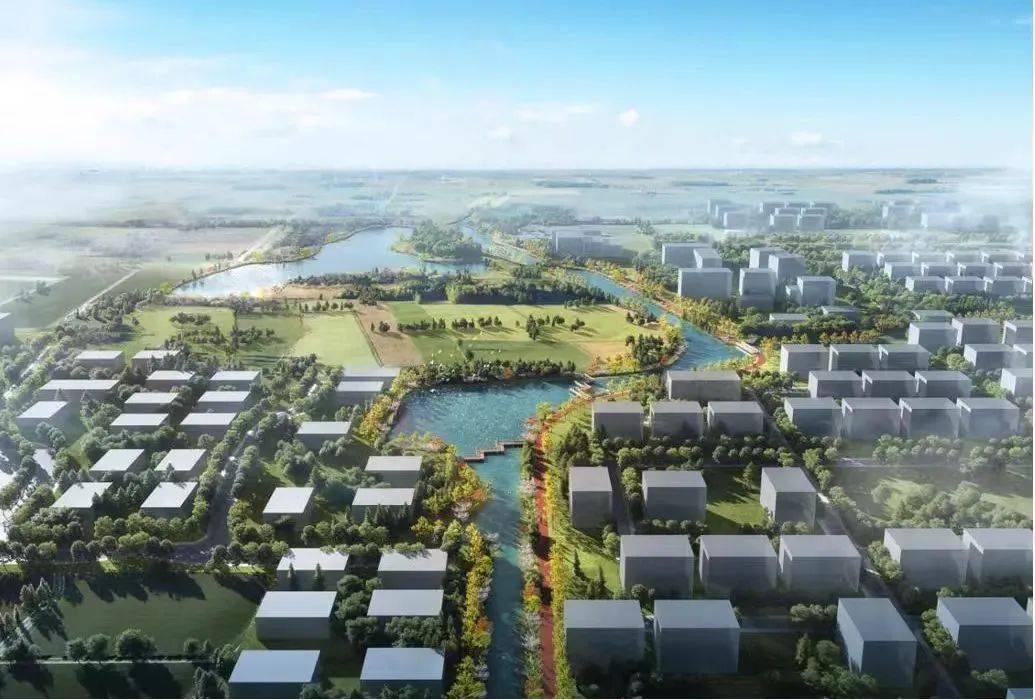 加强顶层谋划,加强协作共赢!秀洲高质量融入长三角化_