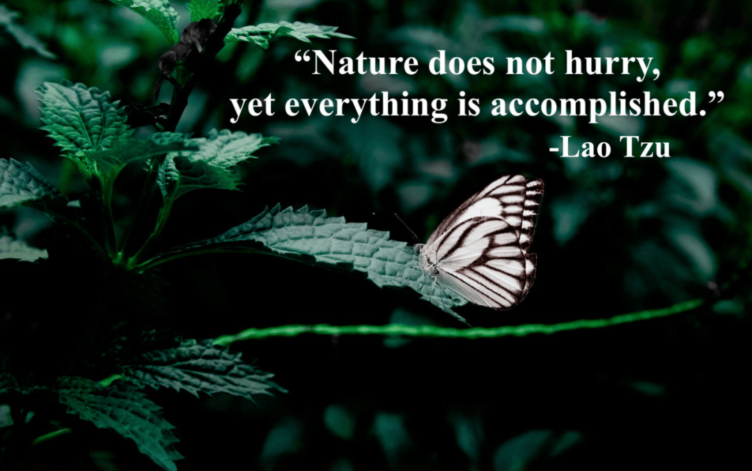 造句活学活用xx 完成了词链儿:xx is accomplished所有计划要做的事情