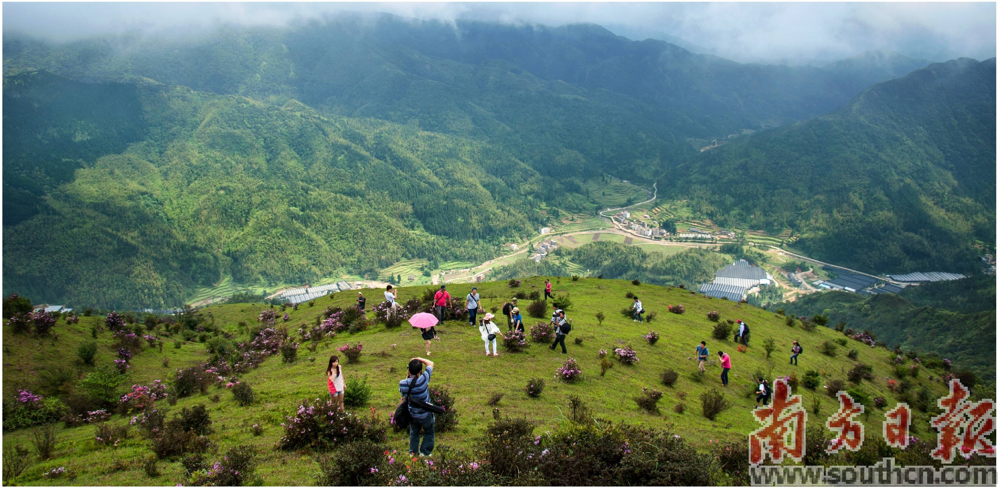 周统生 摄高州城东片区笔架山森林公园一年四季绿意婆娑.