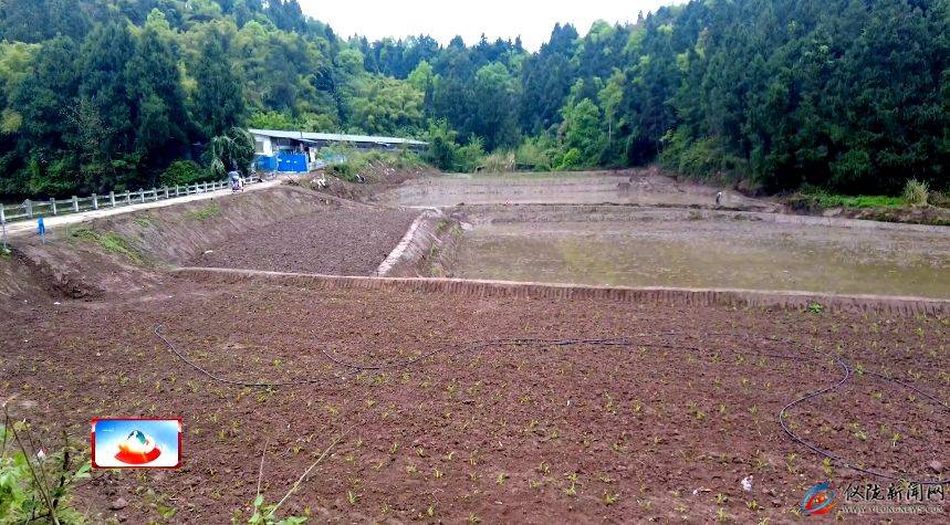 柴井乡狮子头村高标准农田建设助力春耕生产